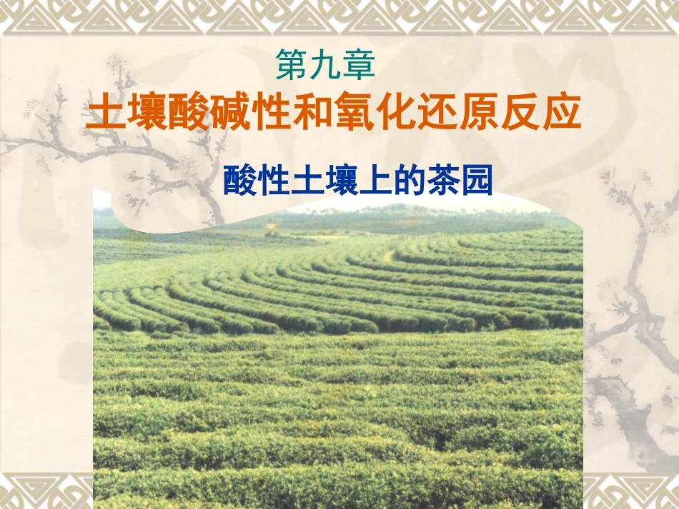 chap10-土壤酸碱性和氧化还原反应_第1页