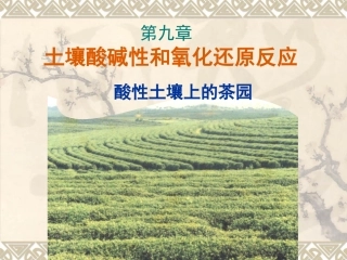 chap10-土壤酸碱性和氧化还原反应