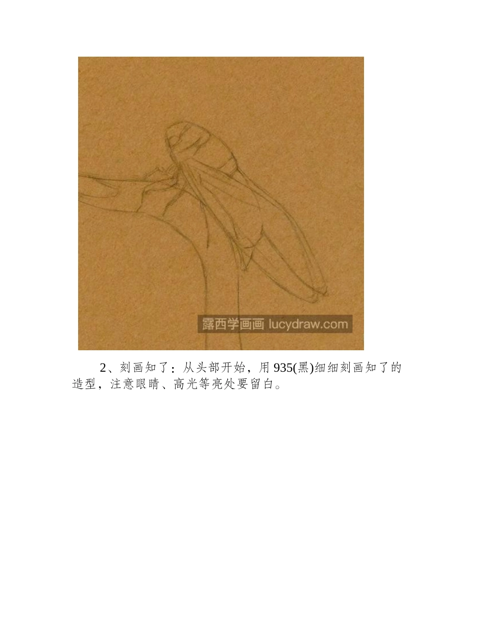 知了的画法是什么_彩铅知了的上色过程是什么_彩铅画教程_第2页