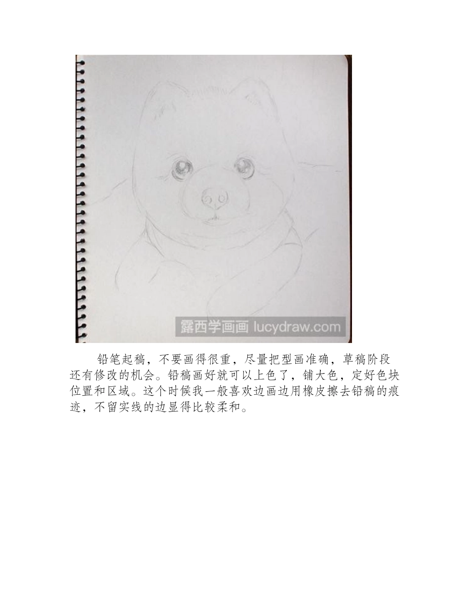 小狗彩铅画教程彩铅画教程_第2页