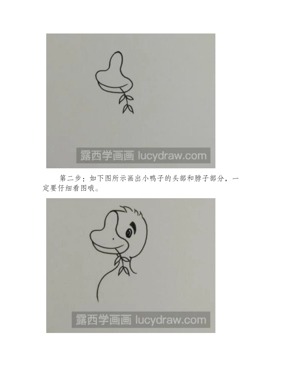 小鸭子简笔画步骤教程简笔画教程_第2页