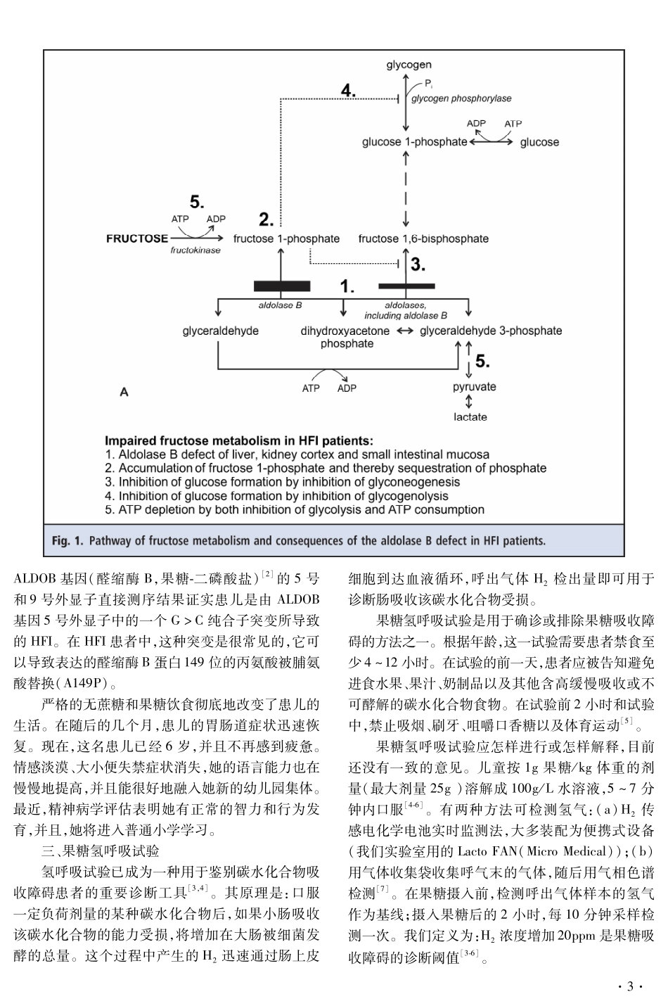 case_study_2009-5_第3页