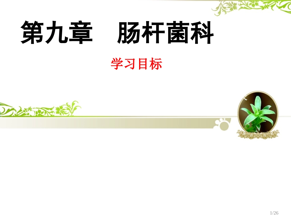 C9-肠道杆菌_第1页