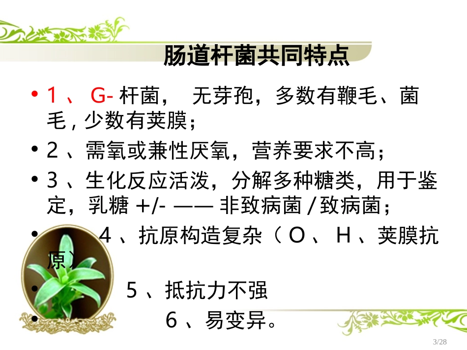 C9-肠道杆菌_第3页