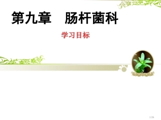 C9-肠道杆菌