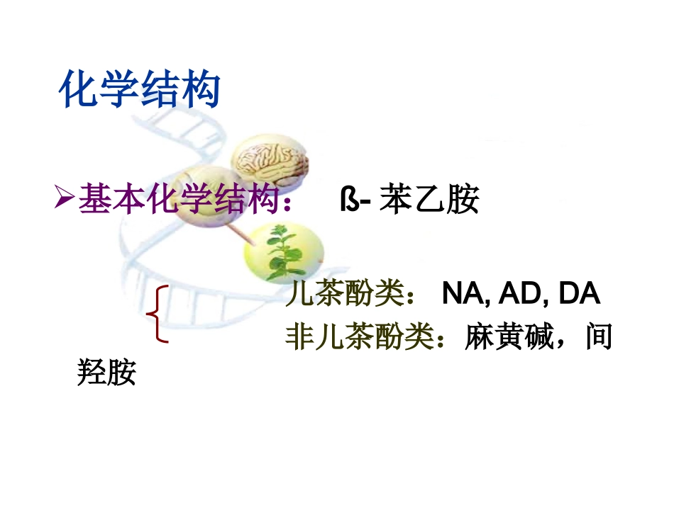 C4-2传出神经系统药_第2页