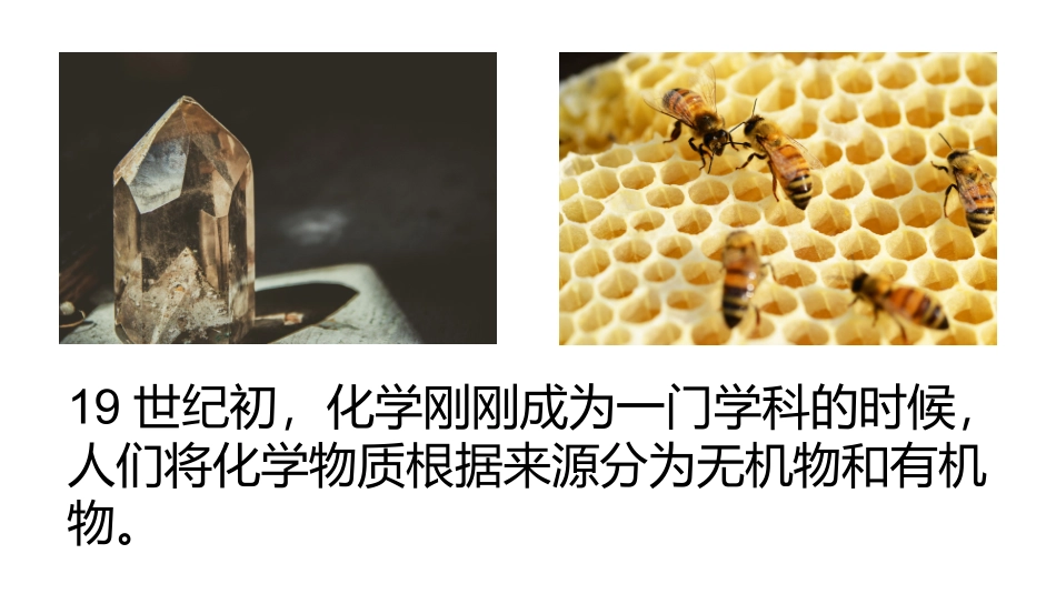 c2-s1-p0-蛋白质1_第2页