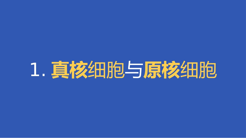 c1-s1-p0-细胞的多样性和统一性_第2页