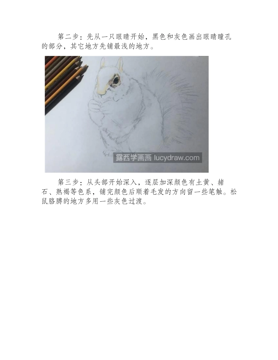 栩栩如生的小松鼠怎么画_超简单的彩铅画教程分享彩铅画教程_第2页