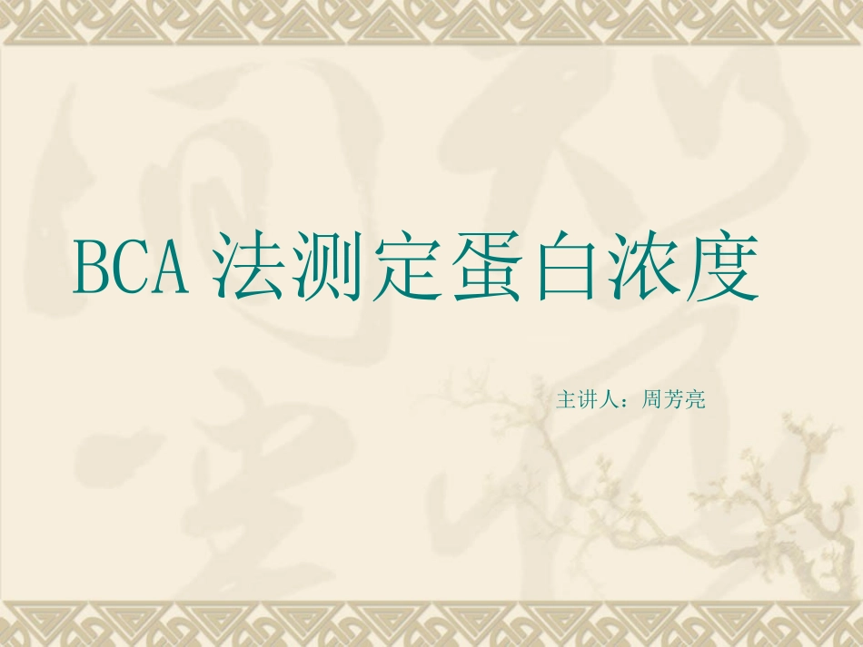 BCA法测蛋白1_第1页