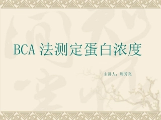 BCA法测蛋白1