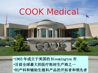 BAKRI子宫填塞球囊导管