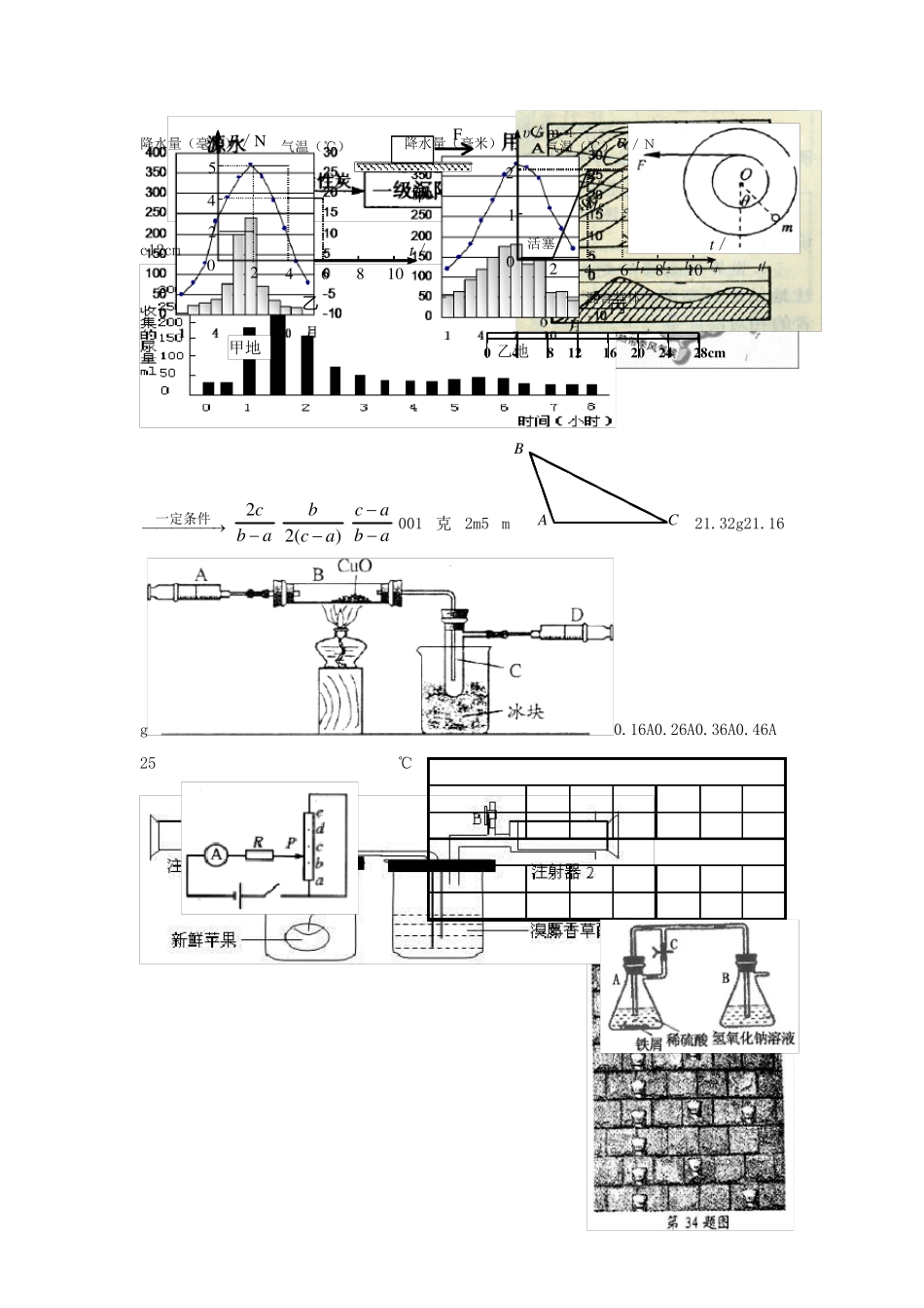 浙江省苍南县2024年初中科学知识竞赛试卷_第2页