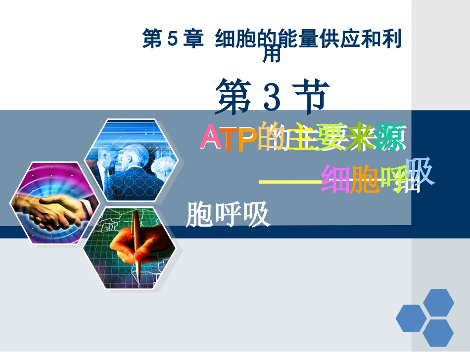 ATP的主要来源——细胞呼吸一轮复习_第1页