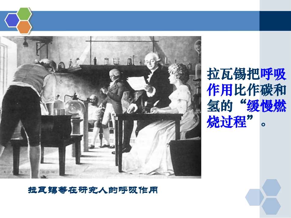 ATP的主要来源——细胞呼吸一轮复习_第3页