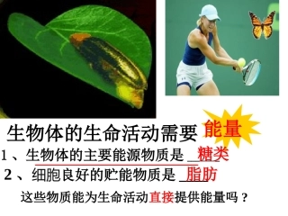 ATP-细胞的能量通货ppt