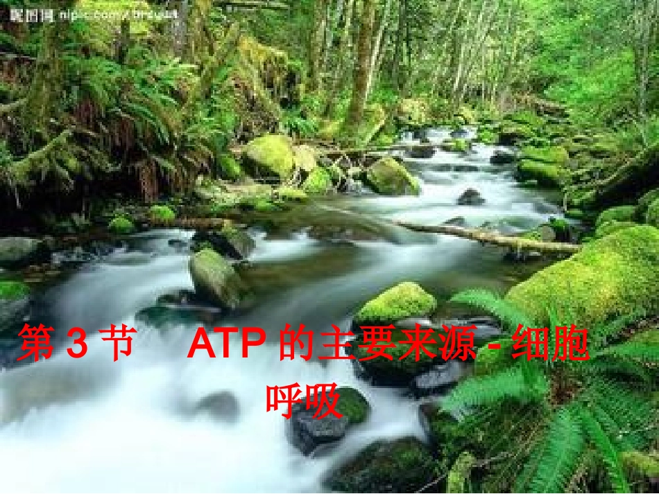 ATP的主要来源-细胞呼吸(上课)综述_第1页