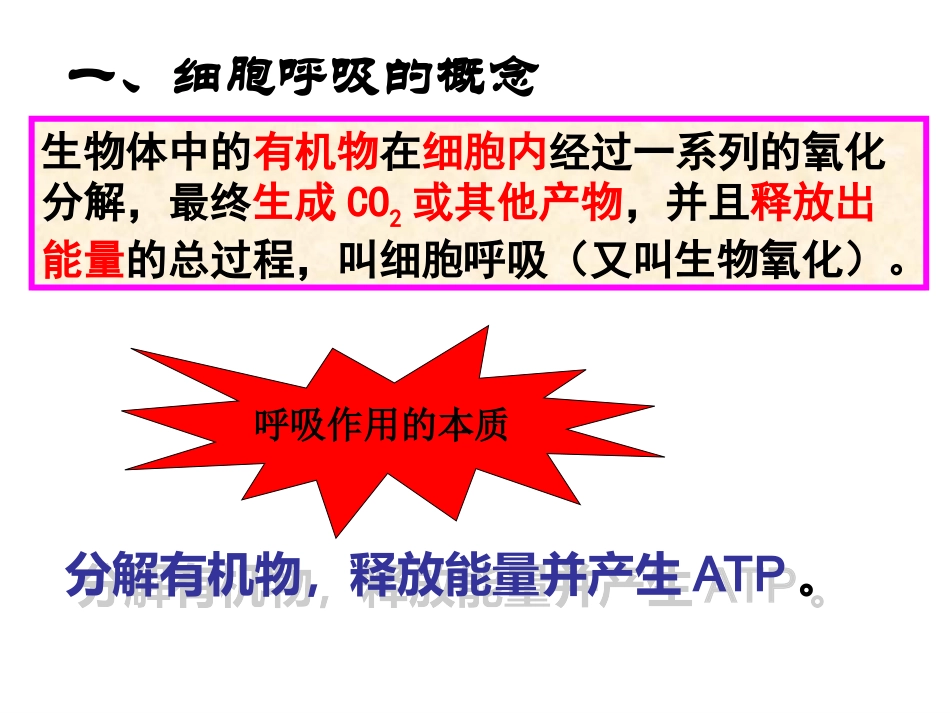 ATP的主要来源-细胞呼吸(上课)综述_第3页