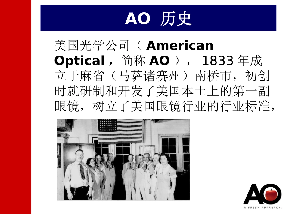 AO产品介绍_第2页