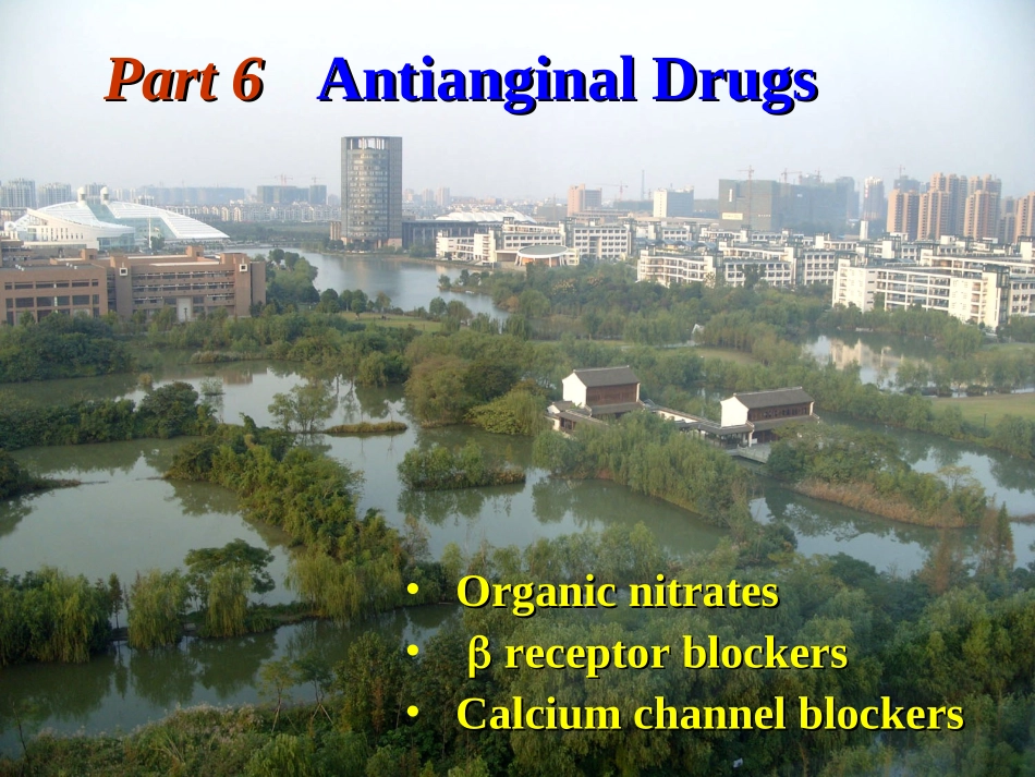 Antianginal-Drugs(抗心绞痛药)_第1页