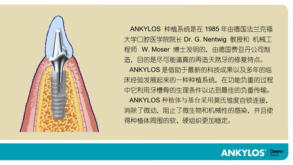 Ankylos presentation in Chinese 1__ Concept1_第2页