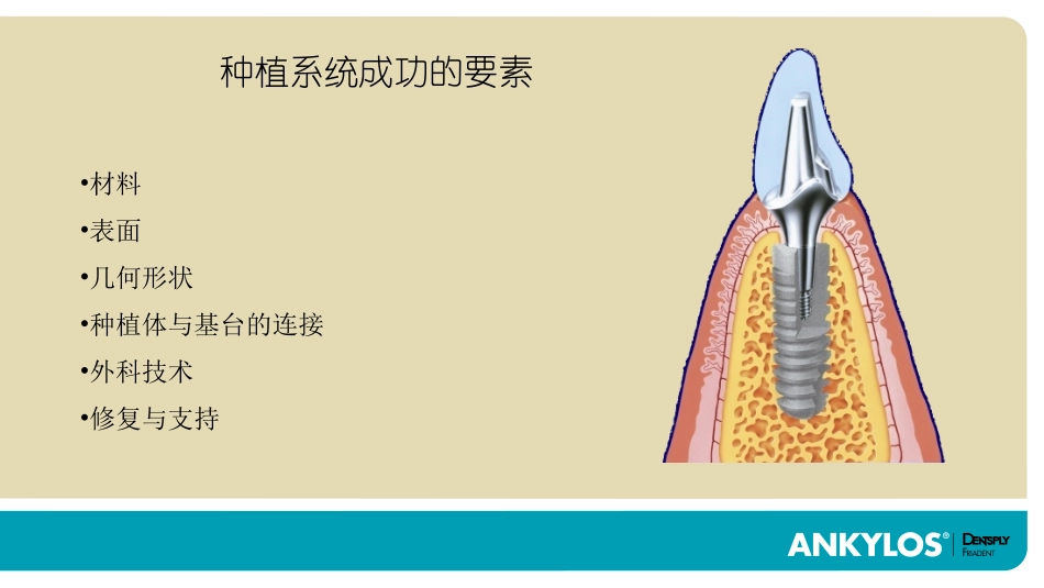 Ankylos presentation in Chinese 1__ Concept1_第3页