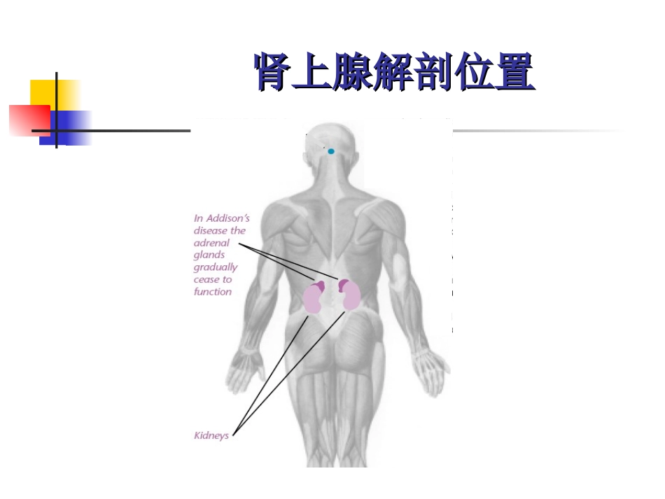 addison综合征_第2页
