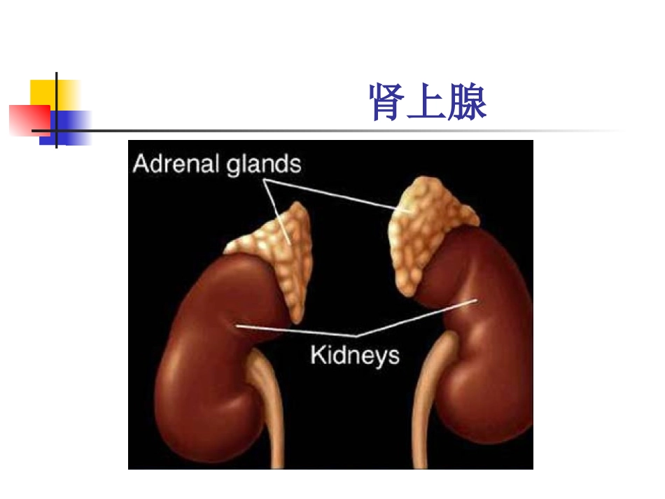 addison综合征_第3页