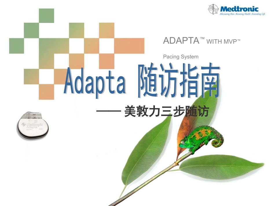 Adapta标准随访流程_第1页