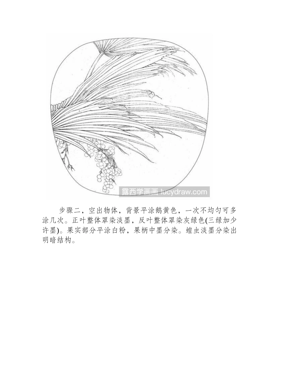 棕榈怎么画工笔画教程_第2页