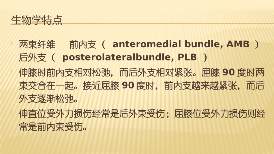ACL损伤与康复_第3页