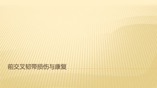ACL损伤与康复