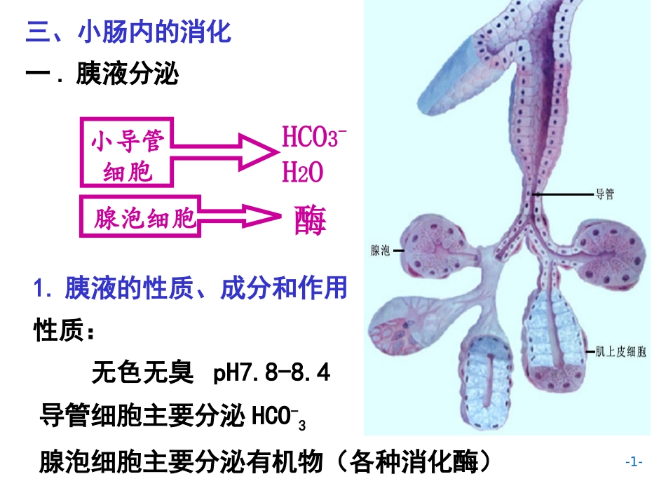 AC6消化2施建蓉_第1页