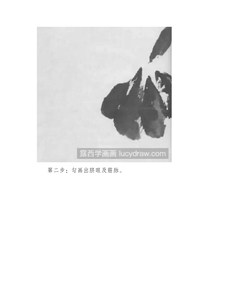 怎么绘制水墨画荷花国画教程_第2页