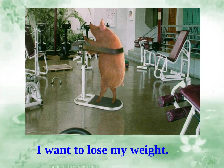 A taste of English humour  warming up_第3页