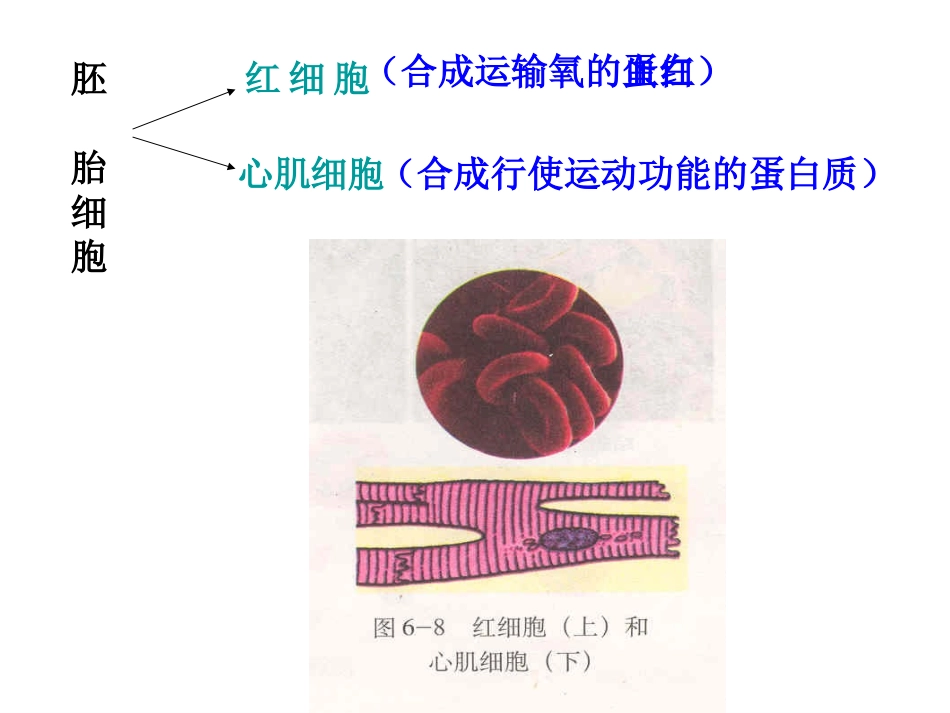 A.细胞分化是遗传物质改变的结果B._第3页