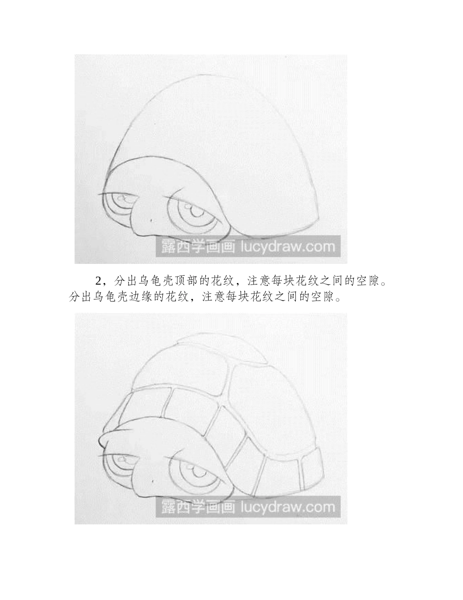 小乌龟彩铅画教程彩铅画教程_第2页