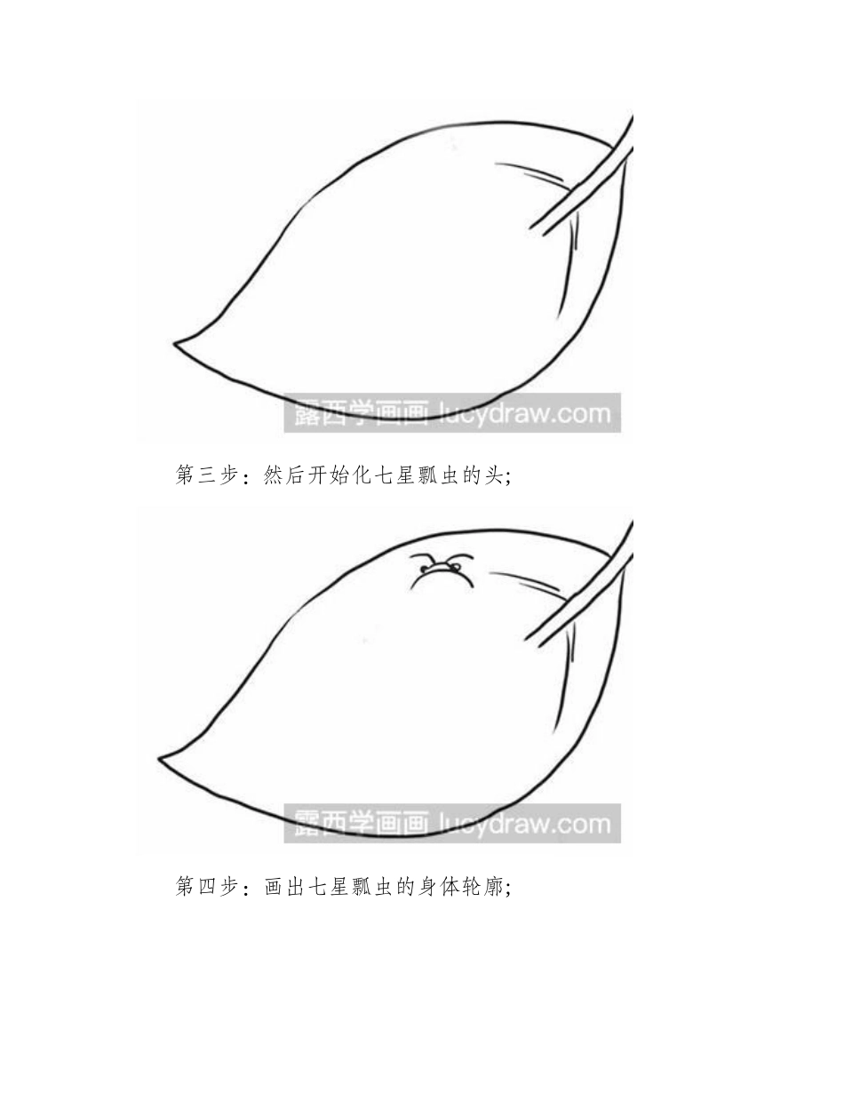 怎么画七星瓢虫简笔画教程_第2页