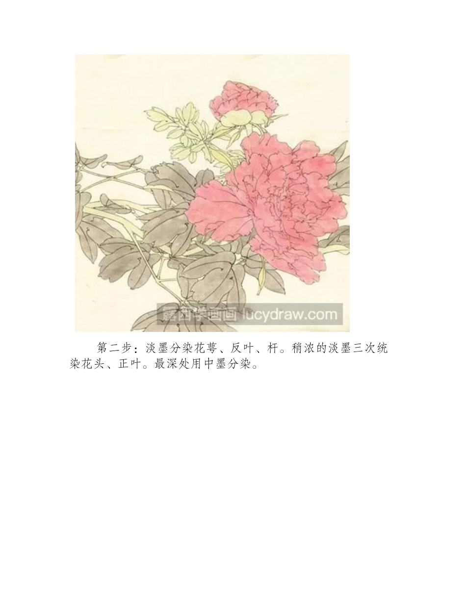 怎么绘制紫红牡丹工笔画教程_第2页