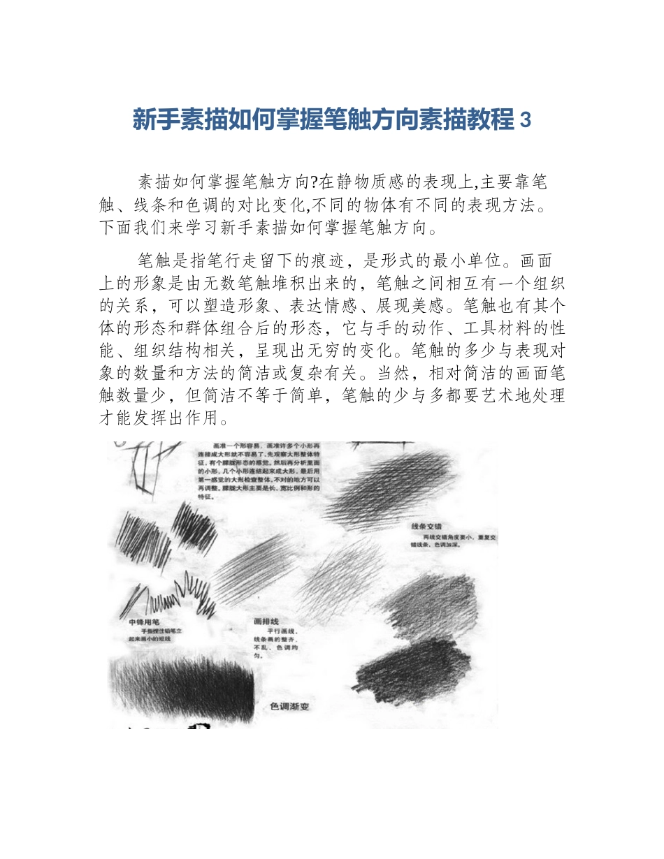 新手素描如何掌握笔触方向素描教程3_第1页