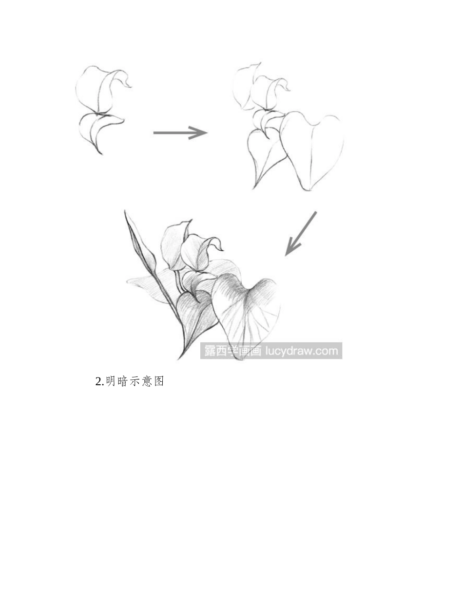 植物速写教程：绿萝的画法速写教程1_第2页