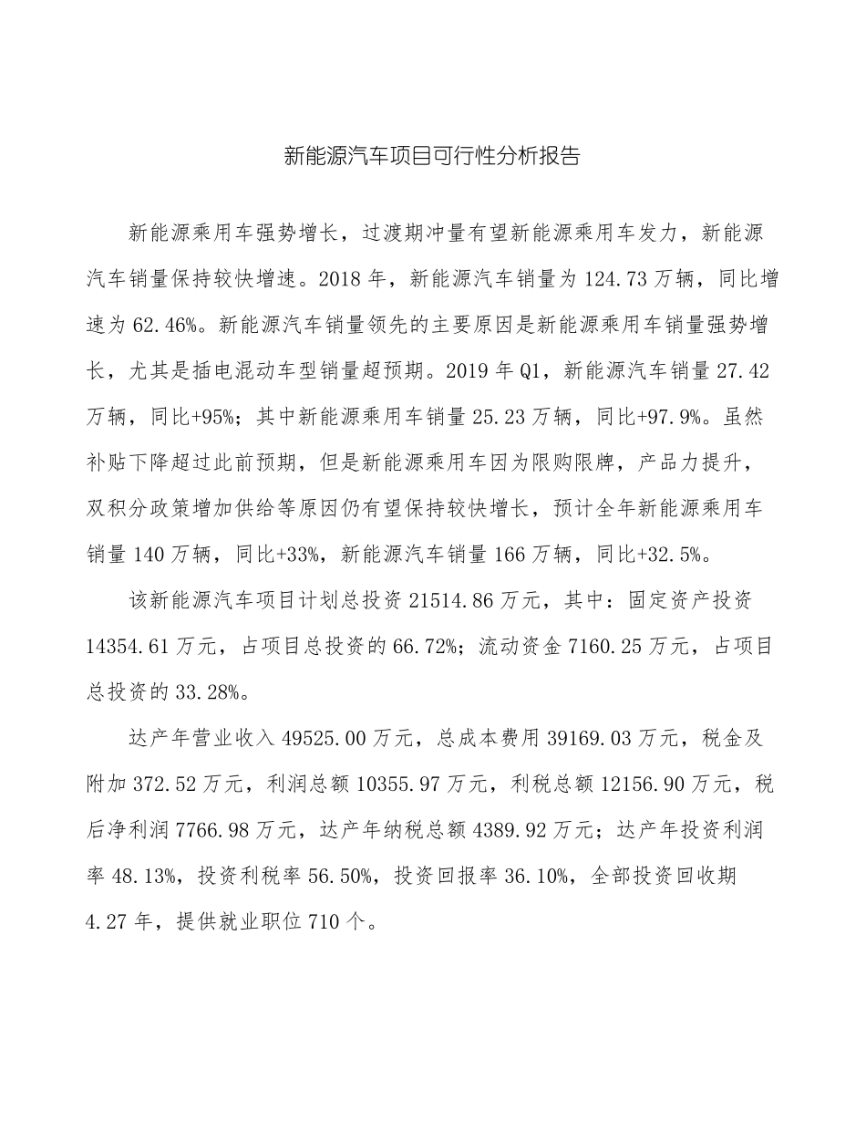 新能源汽车项目可行性分析报告_第2页