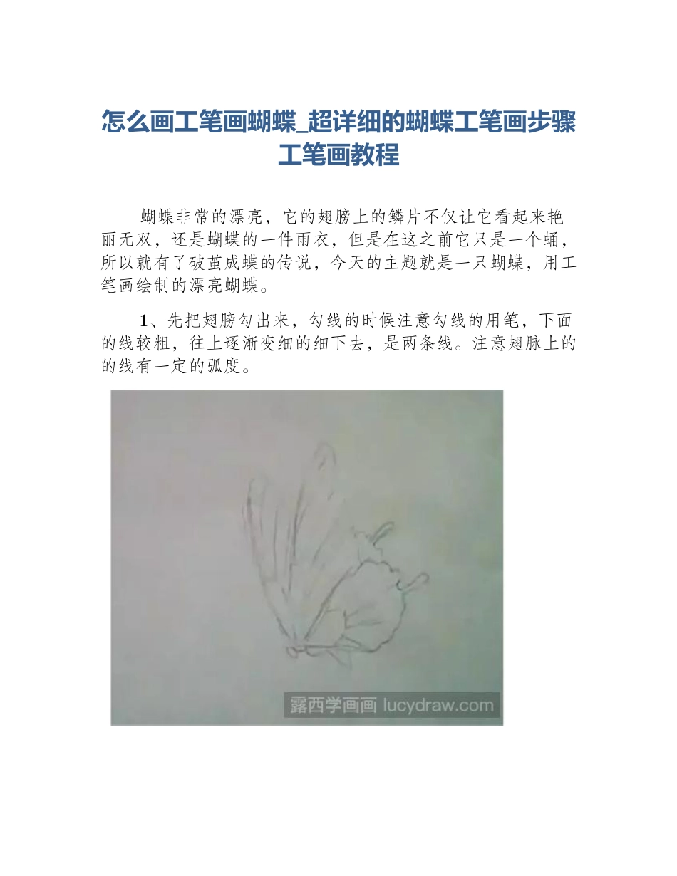 怎么画工笔画蝴蝶_超详细的蝴蝶工笔画步骤工笔画教程_第1页