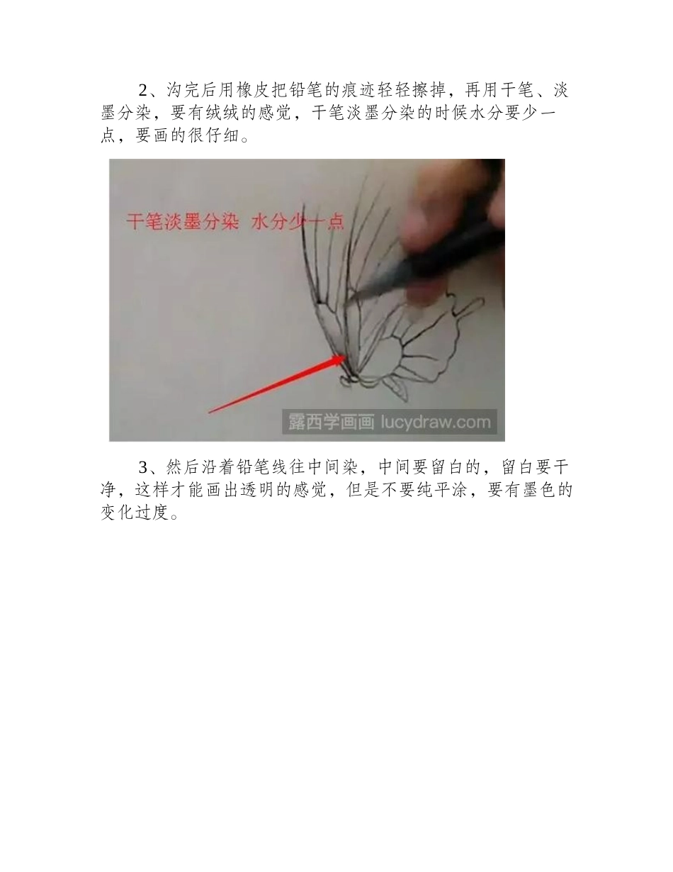怎么画工笔画蝴蝶_超详细的蝴蝶工笔画步骤工笔画教程_第2页