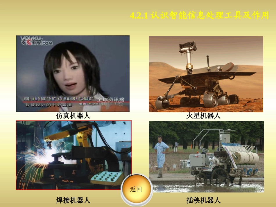 4.2用智能工具处理信息1_第3页