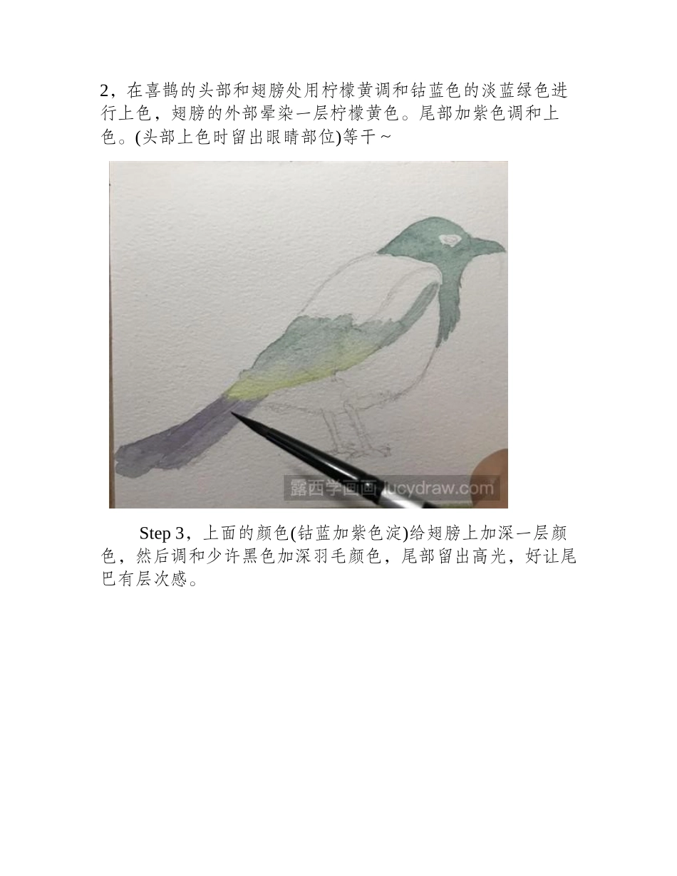 怎样画喜鹊水彩画教程_第2页