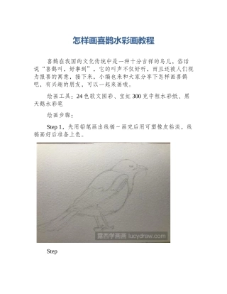 怎样画喜鹊水彩画教程