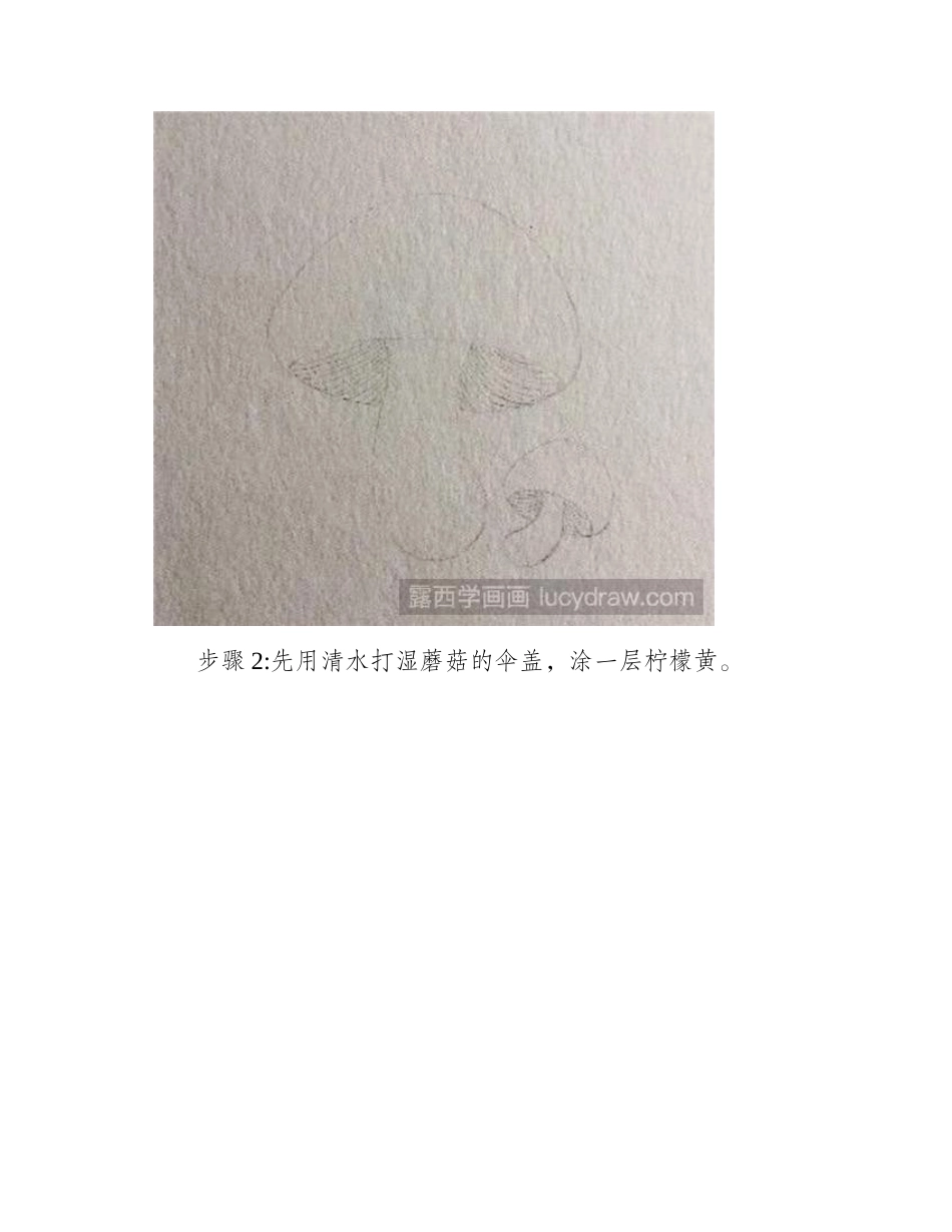 小蘑菇怎么画_超级简单的蘑菇水彩画教程分享水彩画教程1_第2页
