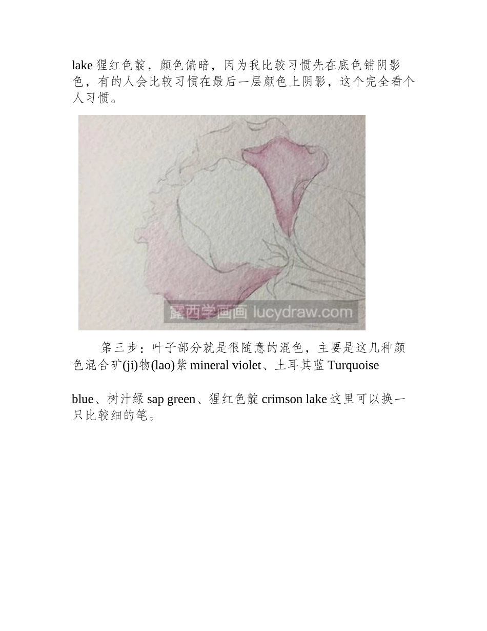 怎么绘制桔梗花水彩画教程_第2页