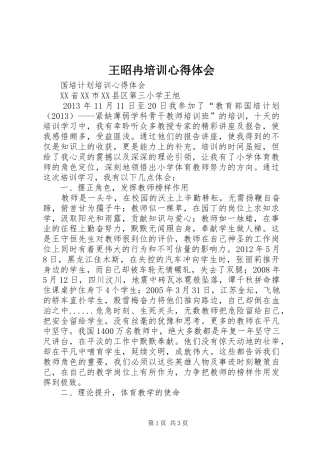 王昭冉培训心得体会